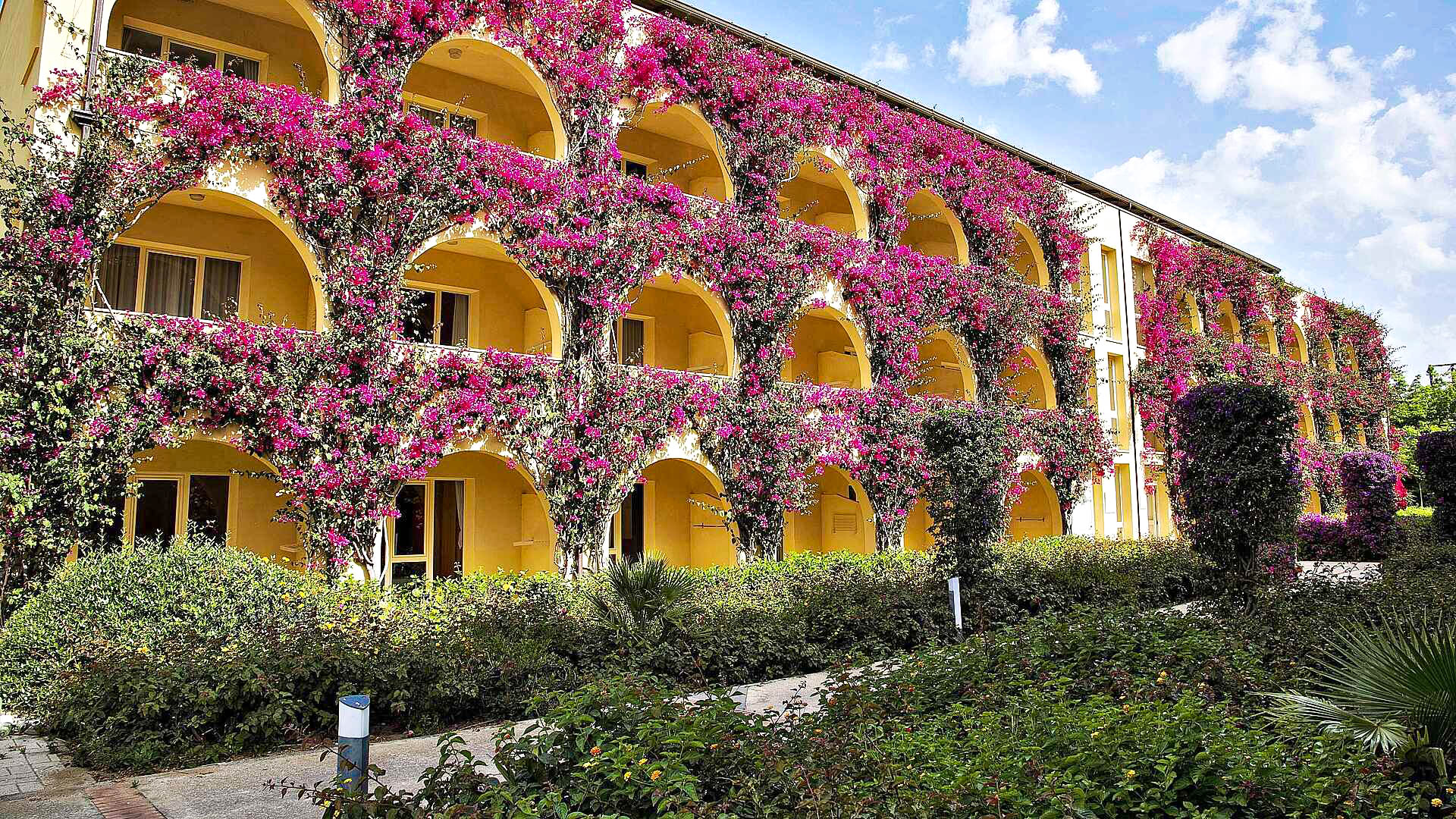Foto Tui Magic Life 8